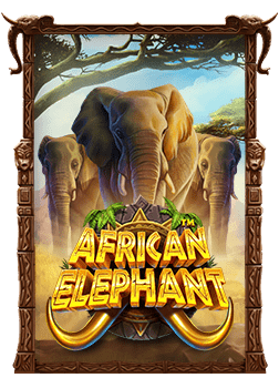 แทง บอล อย่าง ฉลาด: ทดลองเล่นเพื่อชนะ